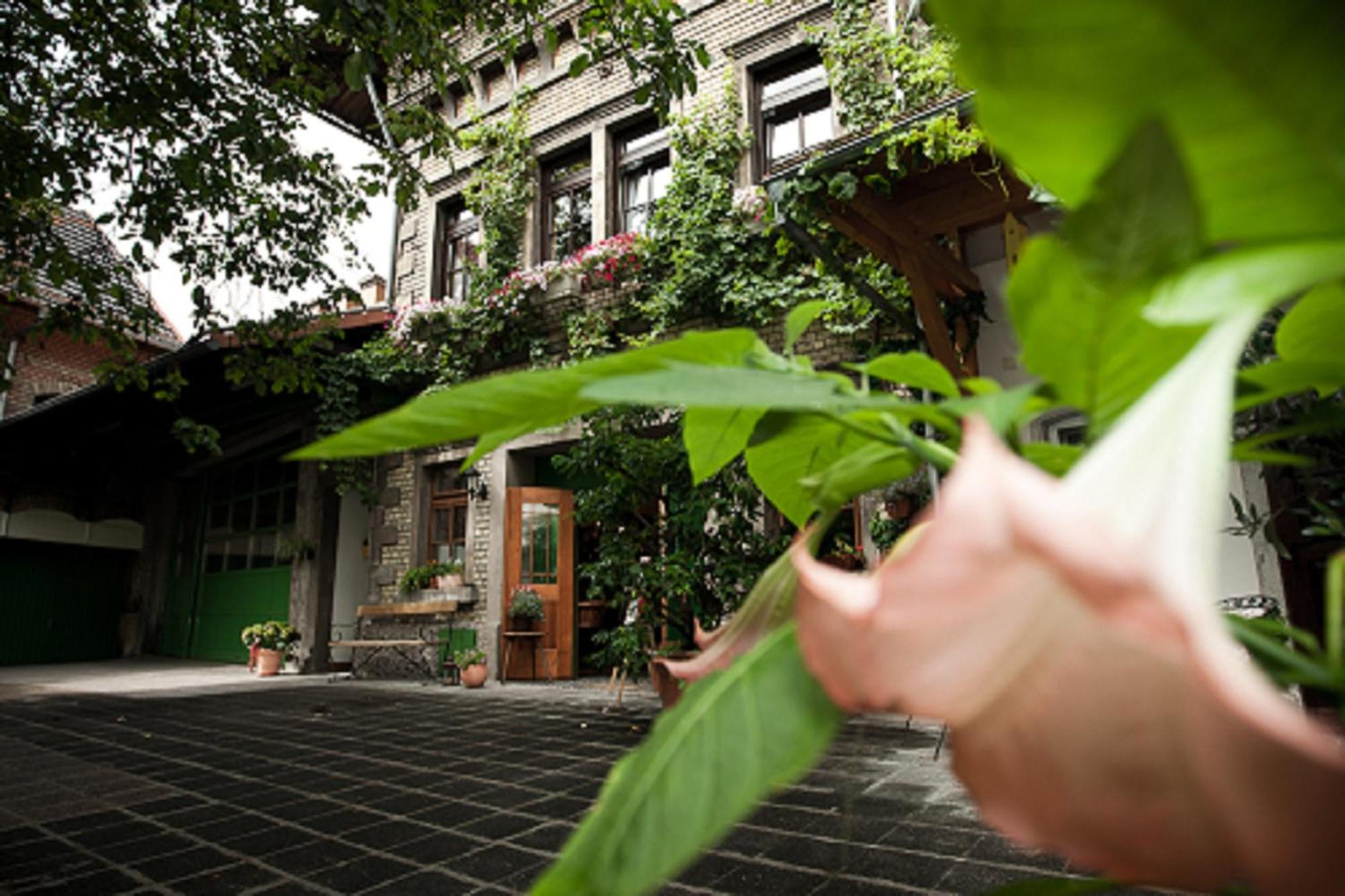 Gaestehaus Guntersblum Dış mekan fotoğraf