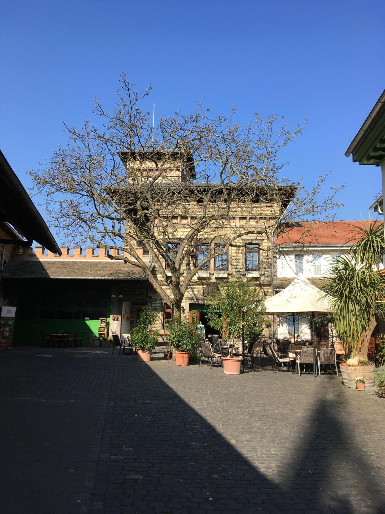Gaestehaus Guntersblum Dış mekan fotoğraf