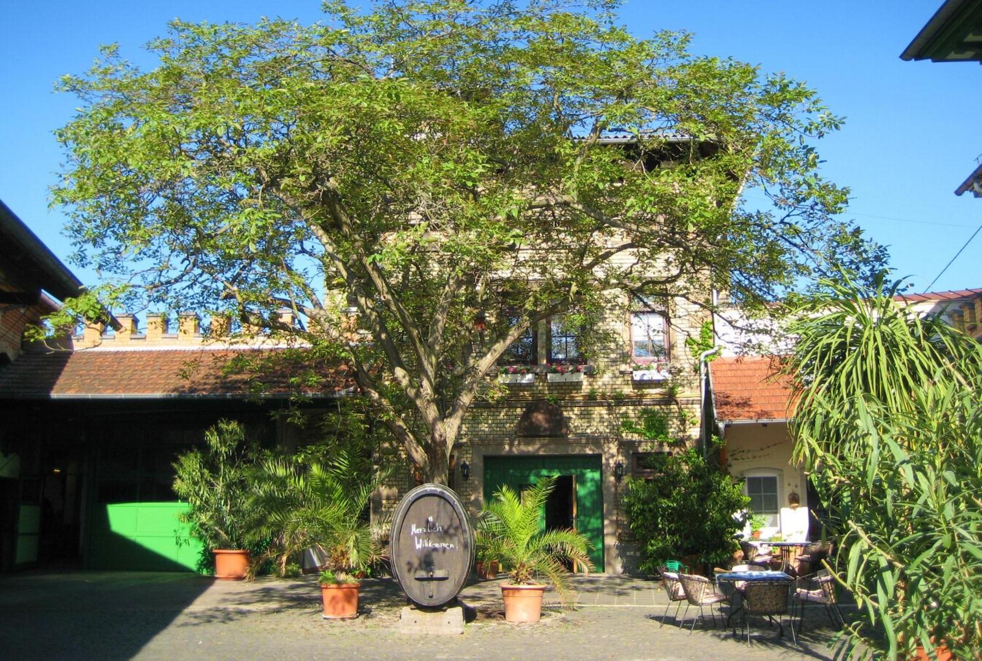 Gaestehaus Guntersblum Dış mekan fotoğraf